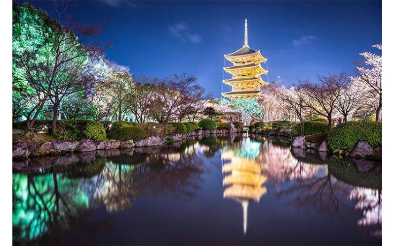 如何打造出讓市民滿意的公園亮化工程？